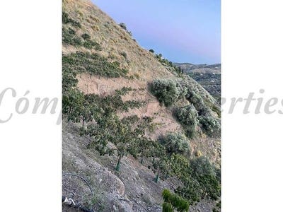 /international/es/frigiliana-andalusia-310100736441/