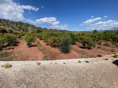 /international/es/torres-torres-valencian-community-310105828233/