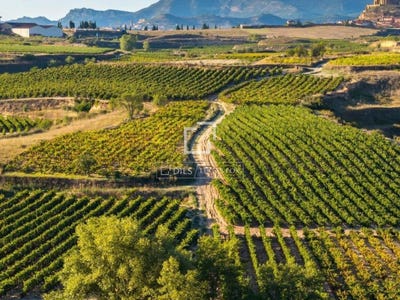 /international/es/labastida-basque-country-310094288800/
