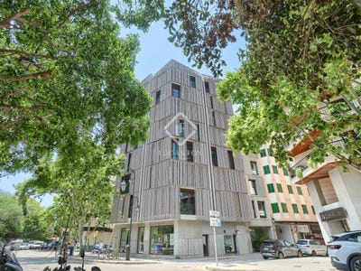 /international/es/palma-de-mallorca-balearic-islands-310100483225/