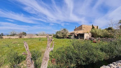 /international/es/diseminado-sector-num-2-8539-07220-illes-balears-spain-algaida-balearic-islands-310101735022/