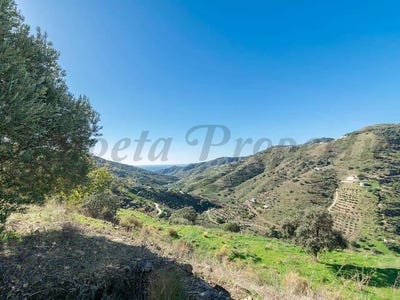/international/es/torrox-andalusia-310100736354/