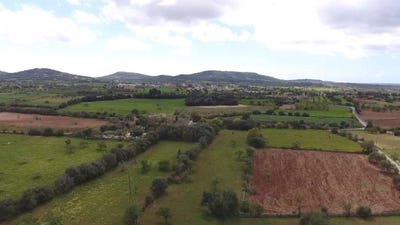/international/es/felanitx-balearic-islands-310108928860/