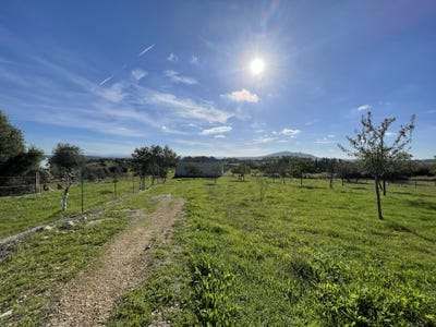 /international/es/c-pg-de-sa-creu-25-07316-moscari-illes-balears-spain-selva-balearic-islands-310103683931/