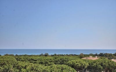 /international/es/marbella-andalusia-310100612214/