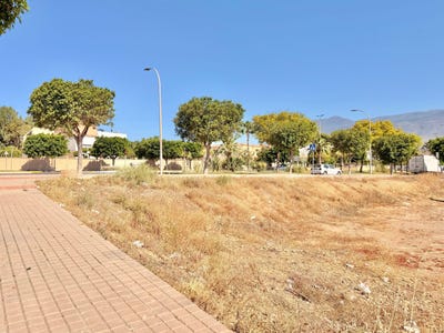 /international/es/ejido-el-andalusia-310108618763/