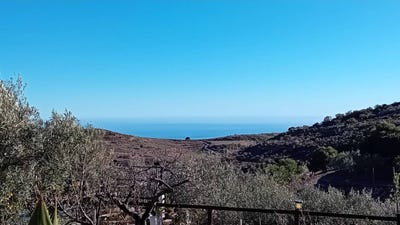 /international/es/la-chepa-felix-andalusia-310103090395/