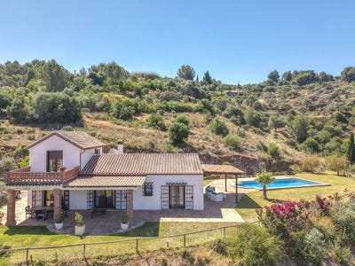 /international/es/guaro-andalusia-310108944497/