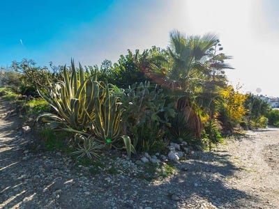 /international/es/torrox-andalusia-310100736293/