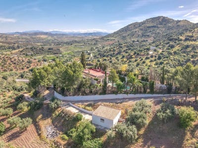 /international/es/guaro-andalusia-310108129432/