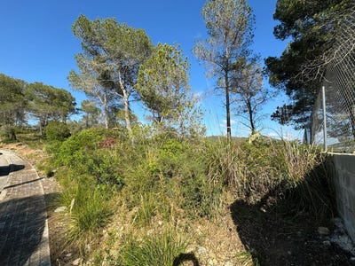 /international/es/olivella-catalonia-310108453741/