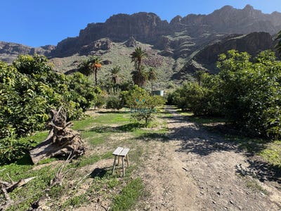 /international/es/san-bartolome-de-tirajana-canary-islands-310108642325/