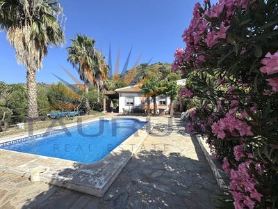 /international/es/sayalonga-andalusia-310108793304/