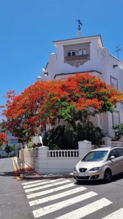 /international/es/santa-cruz-de-tenerife-canary-islands-310108138399/