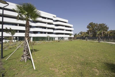 /international/es/torremolinos-los-alamos-malaga-andalusia-310101080088/