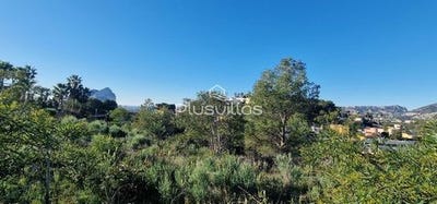 /international/es/calpe-valencian-community-310106463916/