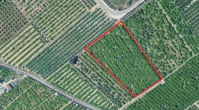 /international/es/torre-de-los-pares-miramar-valencian-community-310108371773/