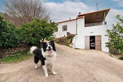 /international/es/poligono-canjayar-andalusia-310106197444/