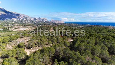 /international/es/73-partida-quintanes-altea-valencian-community-310103765391/