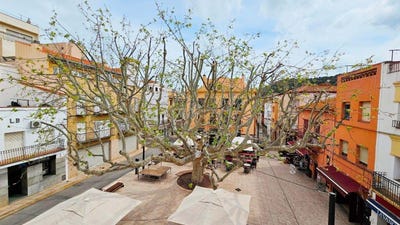 /international/es/colera-catalonia-310106134835/