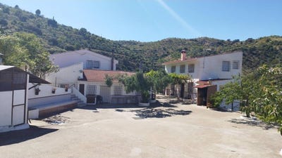 /international/es/colmenar-andalusia-310100597936/