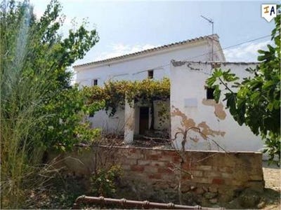 /international/es/loja-andalusia-120045796824/