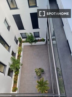 /international/es/las-palmas-de-gran-canaria-canary-islands-310108563081/