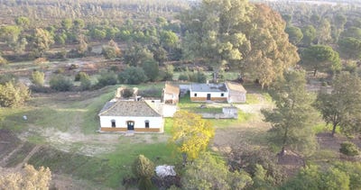 /international/es/almonte-andalusia-310104398694/