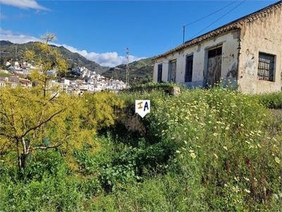 /international/es/algarrobo-andalusia-120092376247/