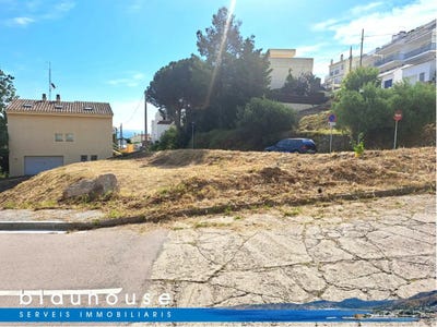 /international/es/llan-catalonia-310099560078/