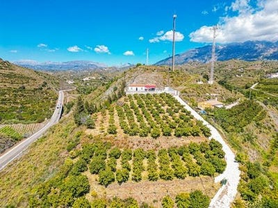 /international/es/la-vinuela-andalusia-310108375356/