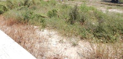 /international/es/aielo-de-malferit-valencian-community-310100600058/