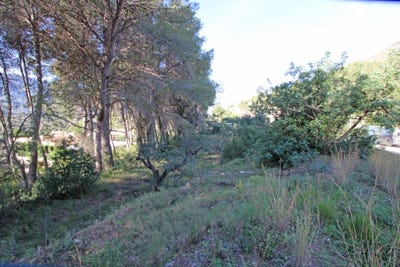 /international/es/alcalali-valencian-community-310106605616/