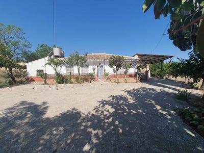 /international/es/pizarra-andalusia-120086755340/