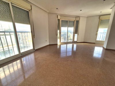 /international/es/elche-elx-valencian-community-310096870110/