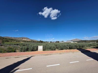 /international/es/diseminado-cementerio-calasparra-region-of-murcia-310108784560/