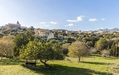 /international/es/campanet-balearic-islands-310101497970/?lang=it