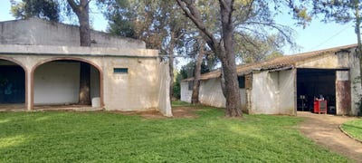 /international/es/cm-guayacan-del-chiclana-de-la-frontera-andalusia-310107523266/