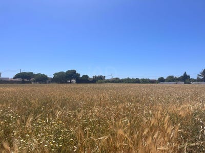 /international/es/camino-de-guerrero-vejer-de-la-frontera-andalusia-310108598655/