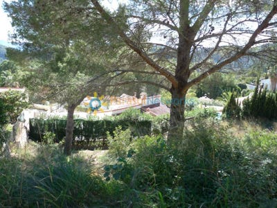 /international/es/oliva-valencian-community-310107371338/