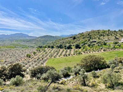 /international/es/coin-andalusia-310103746187/