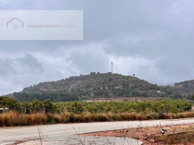 /international/es/almenara-valencian-community-310097845649/?lang=en