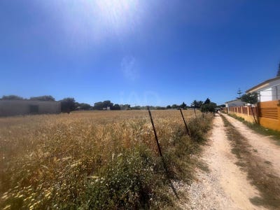 /international/es/camino-de-guerrero-vejer-de-la-frontera-andalusia-310108598655/