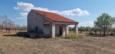 /international/es/l-ametlla-de-mar-catalonia-310103007765/