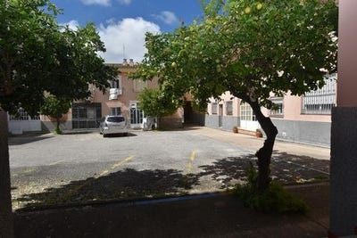 /international/es/chiclana-de-la-frontera-andalusia-310100363404/