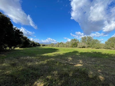 /international/es/166-diseminado-diseminados-muro-balearic-islands-310101734620/