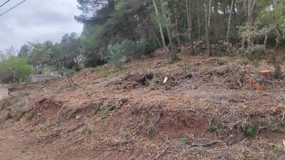 /international/es/mediona-catalonia-310107702370/
