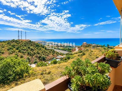 /international/es/rincon-de-la-victoria-andalusia-310110391956/