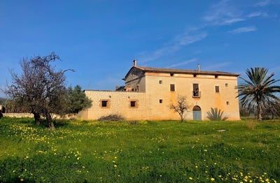 /international/es/22-carrer-d-andalusia-palma-de-mallorca-balearic-islands-310101730784/