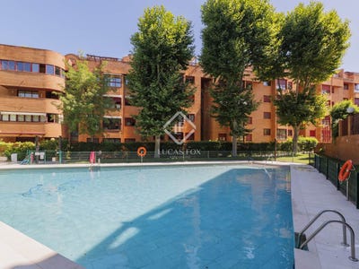 /international/es/pozuelo-de-alarcon-madrid-310100602490/